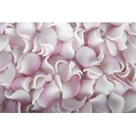 Leaves 016 White / Pink 4 cm (100)