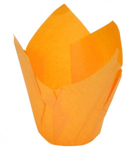 Orange Tulip Cases (150 pc)
